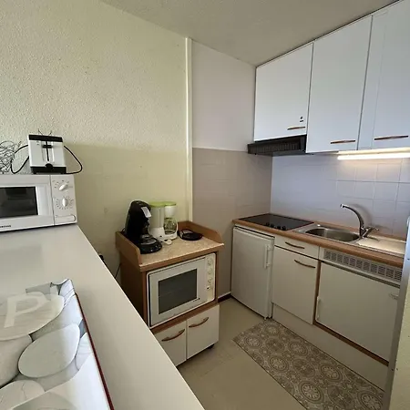 4 Pers Avec Balcon, Parking Et Animaux Admis A 50m De La - Fr-1-224c-142