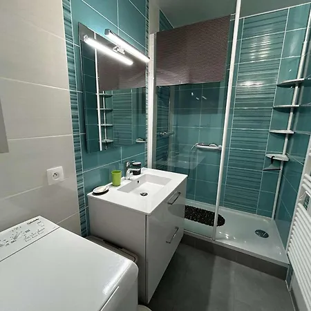 Apartamento 4 Pers Avec Balcon, Parking Et Animaux Admis A 50m De La - Fr-1-224c-142 *