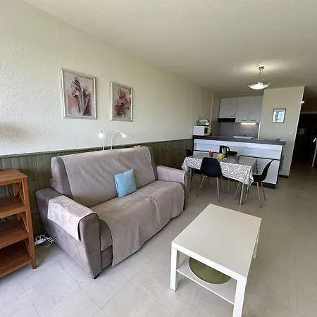 4 Pers Avec Balcon, Parking Et Animaux Admis A 50m De La - Fr-1-224c-142 Apartamento Saint-Jean-de-Monts