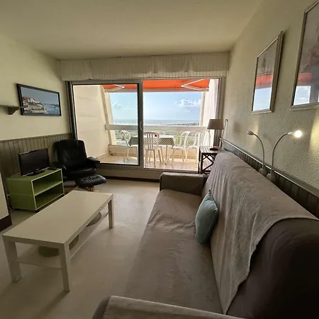 Apartamento 4 Pers Avec Balcon, Parking Et Animaux Admis A 50m De La - Fr-1-224c-142