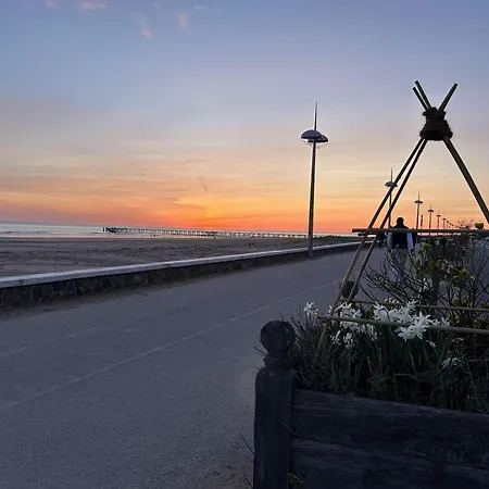 4 Pers Avec Balcon, Parking Et Animaux Admis A 50m De La - Fr-1-224c-142 Apartamento Saint-Jean-de-Monts