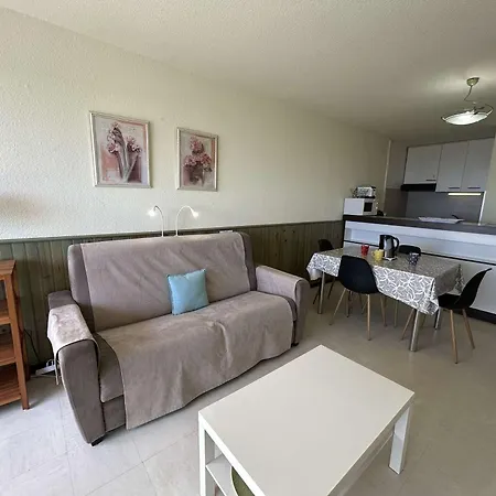 4 Pers Avec Balcon, Parking Et Animaux Admis A 50m De La - Fr-1-224c-142