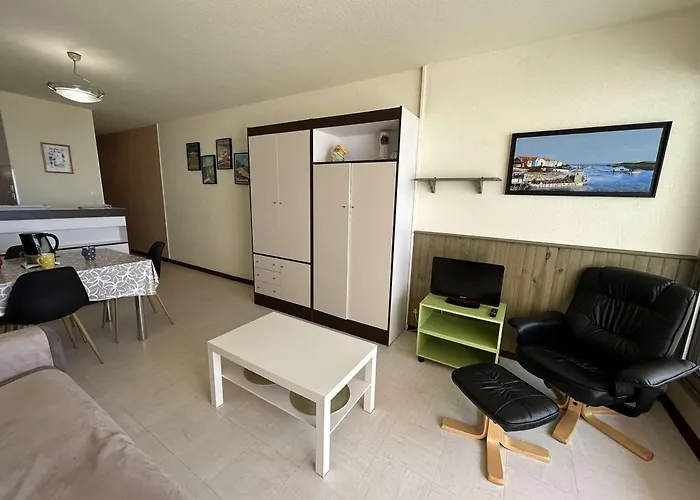 דירה 4 Pers Avec Balcon, Parking Et Animaux Admis A 50m De La - Fr-1-224c-142 סן ז'אן דה מון