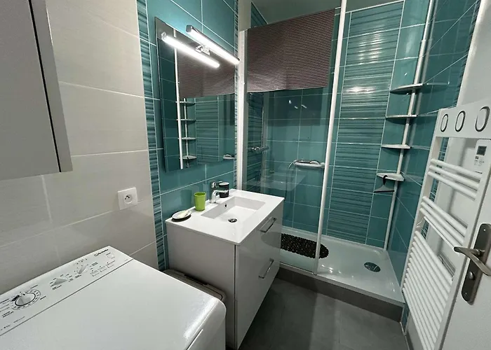 דירה 4 Pers Avec Balcon, Parking Et Animaux Admis A 50m De La - Fr-1-224c-142 *