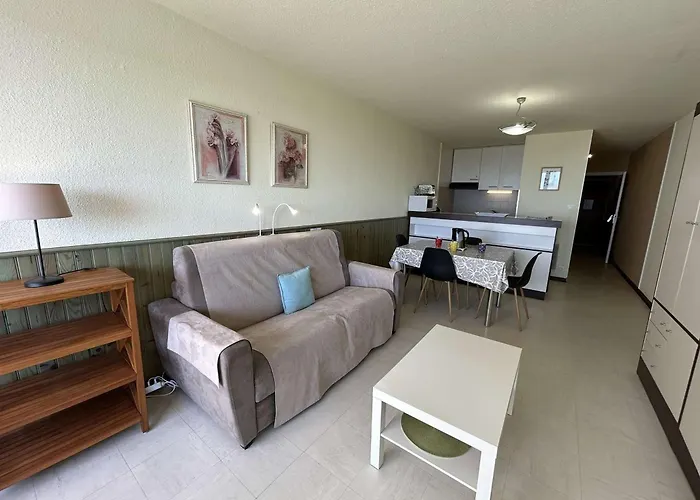 4 Pers Avec Balcon, Parking Et Animaux Admis A 50m De La - Fr-1-224c-142 דירה סן ז'אן דה מון