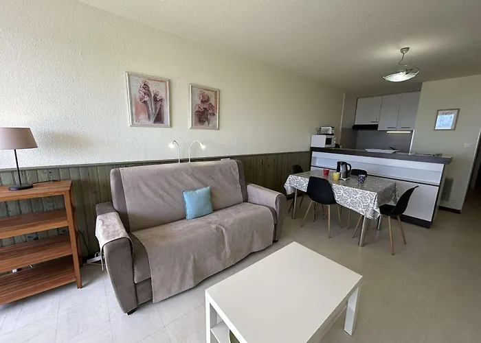 4 Pers Avec Balcon, Parking Et Animaux Admis A 50m De La - Fr-1-224c-142