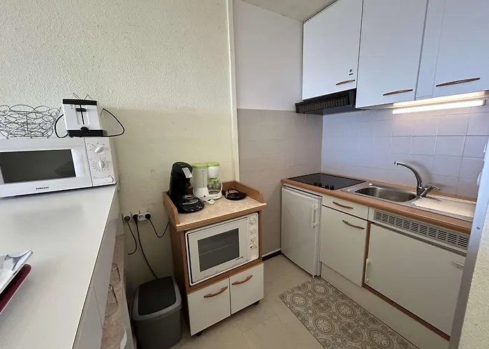 4 Pers Avec Balcon, Parking Et Animaux Admis A 50m De La - Fr-1-224c-142 דירה *